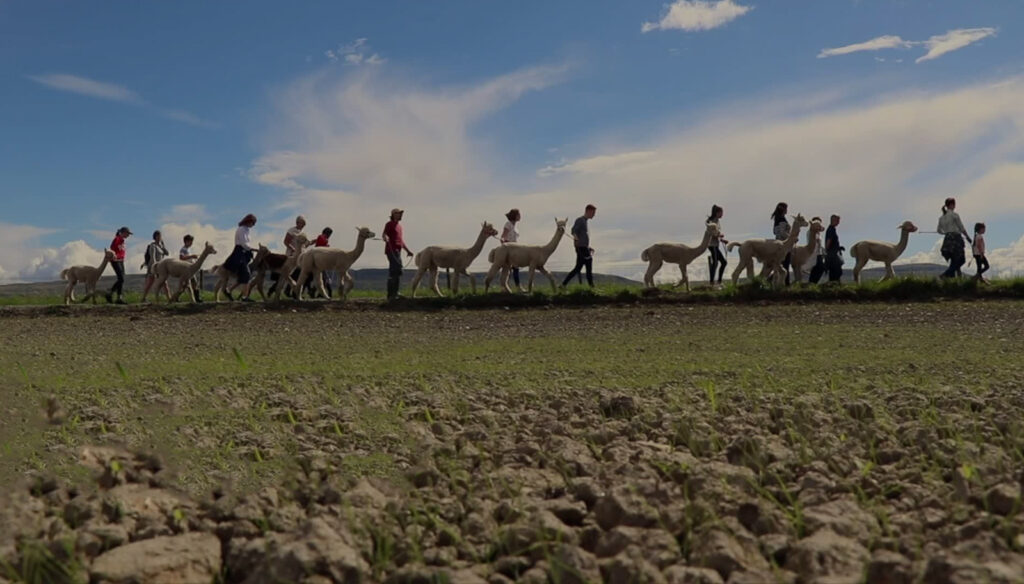 Adults Only Nature Reserve Trek